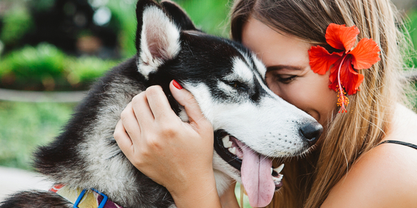 Why Do We Love Dogs So Much?