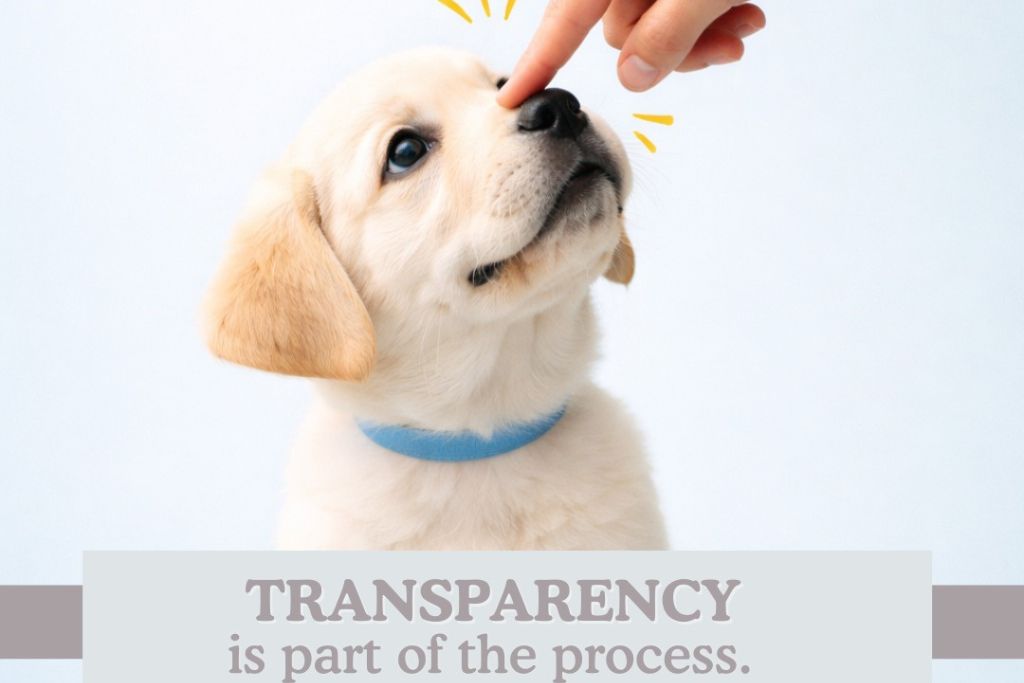 Why Transparency Matters When Choosing a Puppy and How Wags About You Gets It Right